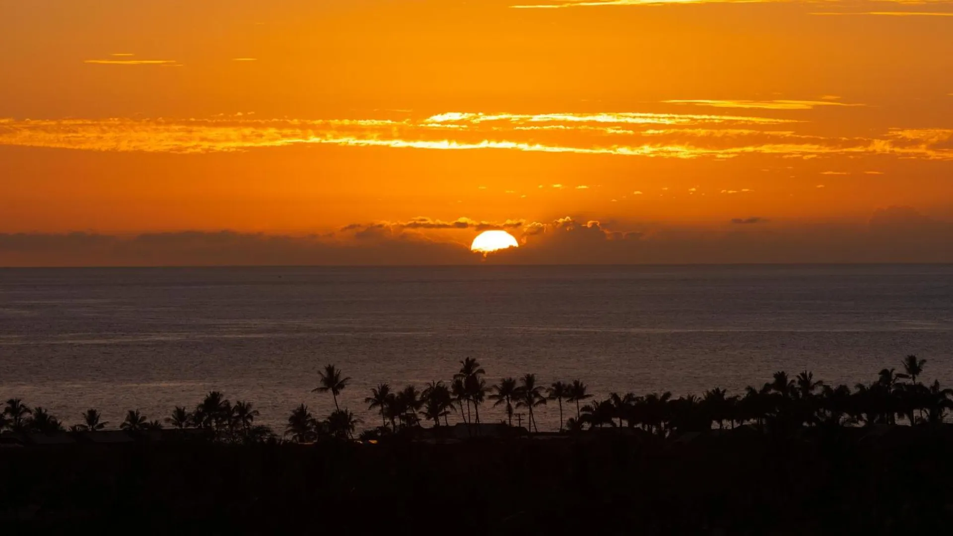 Pacific Vista Retreat Stunning 5Br Home Overlooking Ocean Privacy And Pool Kailua-Kona 0*,
